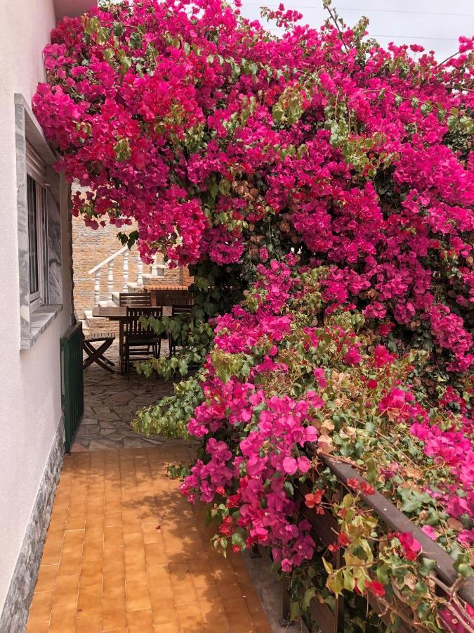 Lagun Bed & Breakfast Santo Isidoro Eksteriør bilde